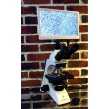 Микроскоп общепрофессиональный лабораторный Micro Screen (Микроскрин) 